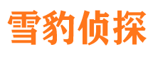 高县找人公司